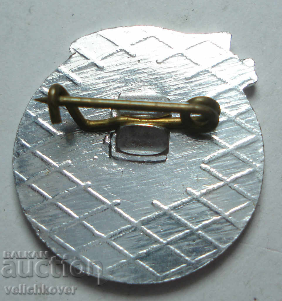 25398 Bulgaria sign 25g. Troyanovo mine with price 2.00 BGN | € 1.02 25398 Bulgaria sign 25g. Troyanovo mine with price 2.00 BGN | € 1.02