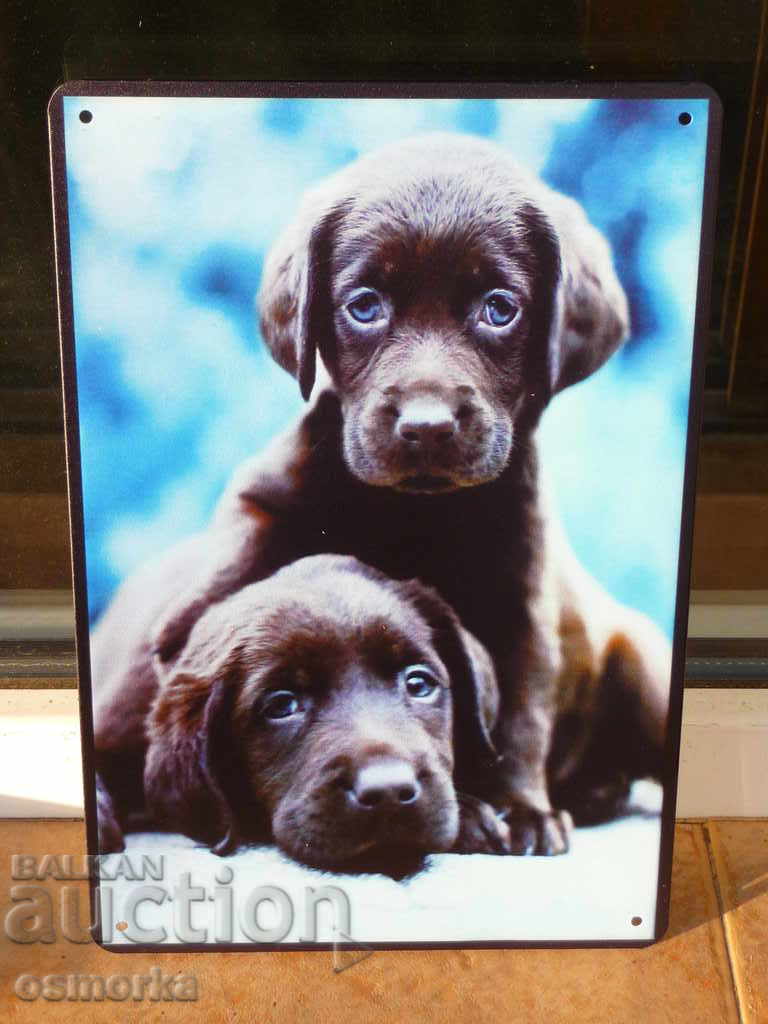 Metal Plate Dogs Sweet Puppies Puppy Dolls