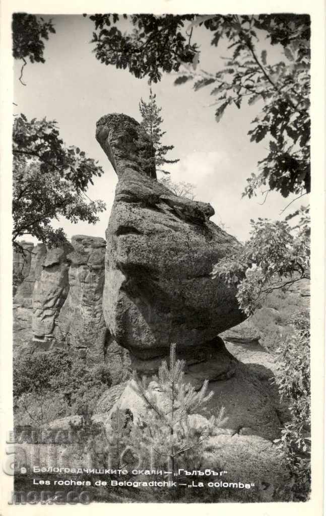 Стара картичка - Белоградчишките скали - "Гълъбът"