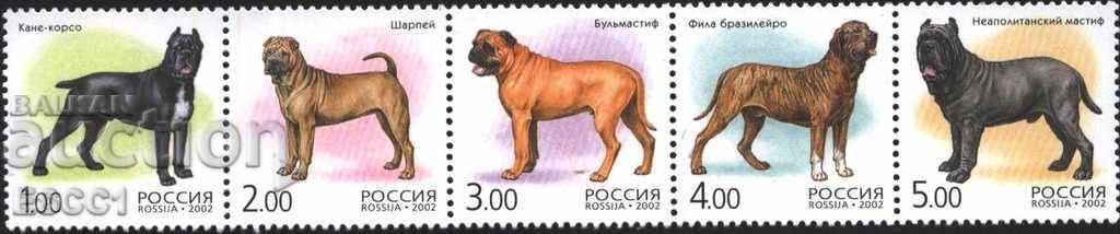 Clean Fauna Dogs 2002 from Russia