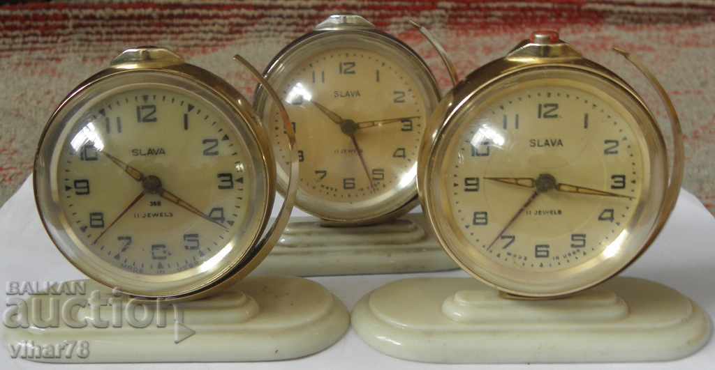 Delivery of LOT OF THREE PUPPIES-GLOSSARY Delivery of LOT OF THREE PUPPIES-GLOSSARY