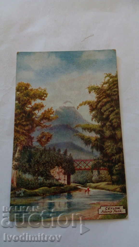 Postcard Ceylon Adam's Peak
