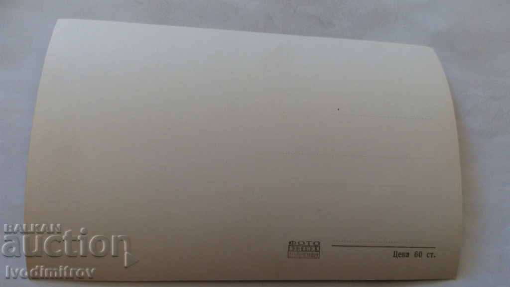 Пощенска картичка Дунав при Видин с цена 1.35 лв. | € 0.69