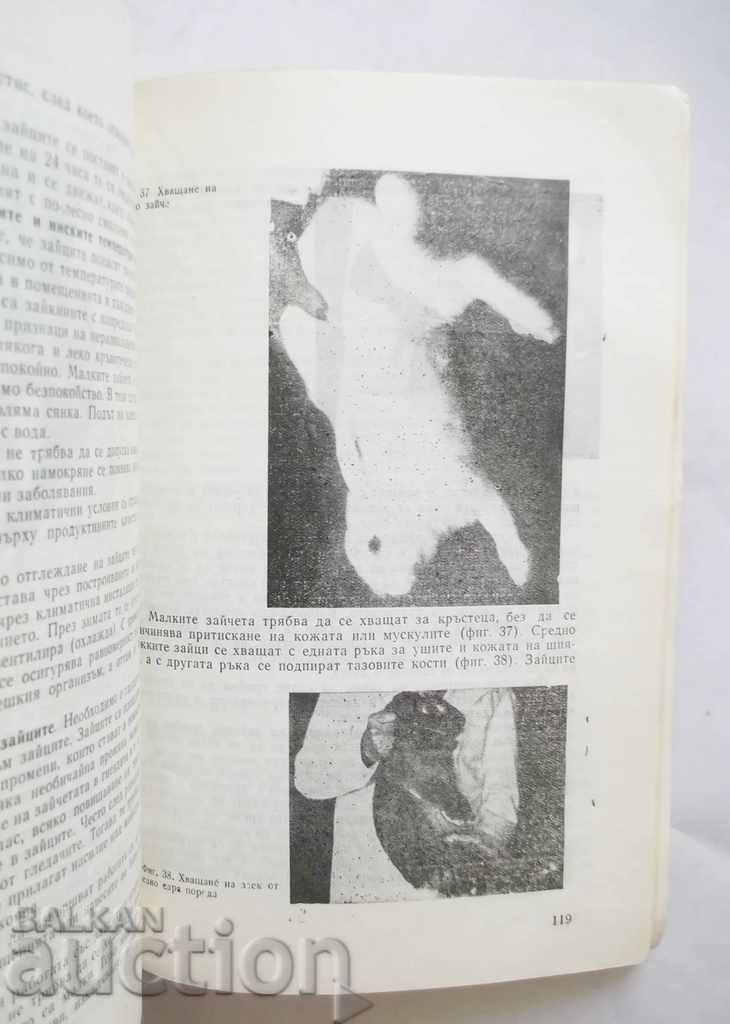 Auction Rabbit - Svetoslav Raychev, Nadezhda Damianova 1973 Auction Rabbit - Svetoslav Raychev, Nadezhda Damianova 1973