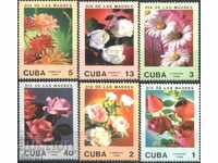 Pure Flowers Flora Flowers 1988 from Cuba