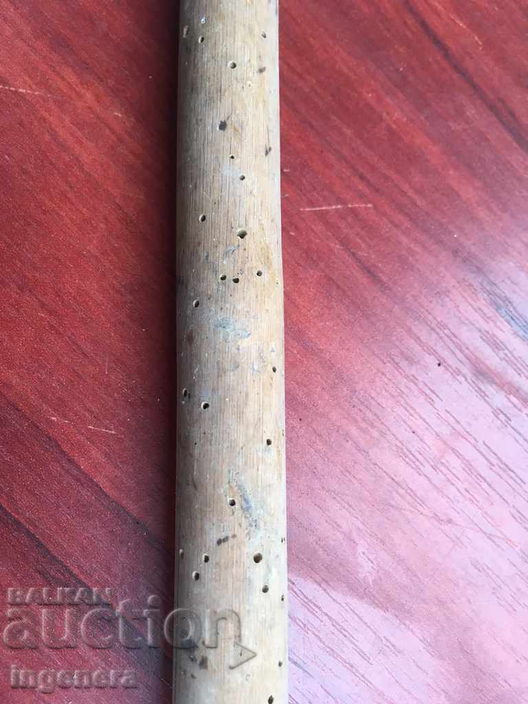 STARA HURKA AND VERDE WOOD - 6