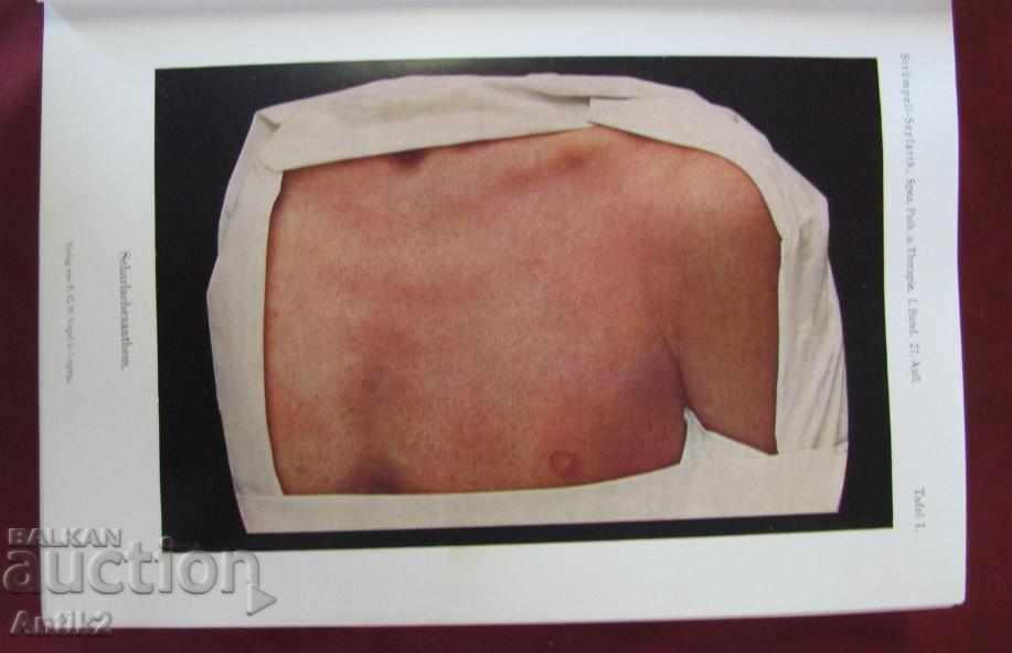 Auction  1928 Medical Book Volume 1