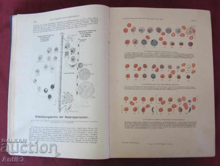 1928 Medical Book Volume 1 - 6