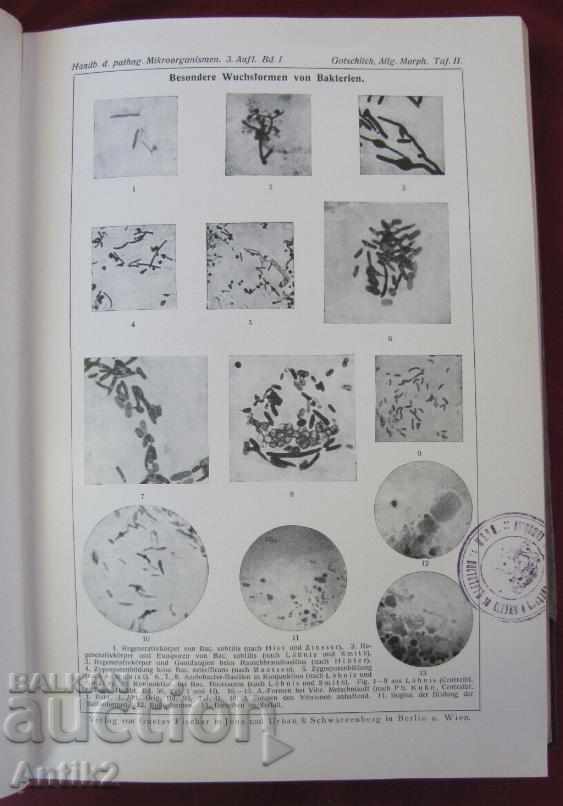 Delivery of 1929 Medical Book Volume 1 Berlin