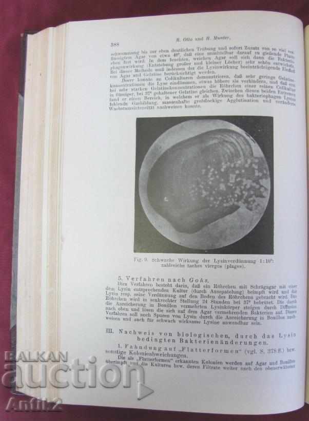 1929 Medical Book Volume 1 Berlin - 7