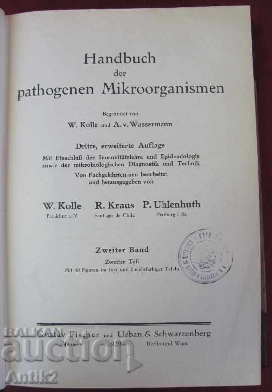 1929 Medical Book Volume 2 Berlin with price 230.00 BGN | € 117.60 1929 Medical Book Volume 2 Berlin with price 230.00 BGN | € 117.60