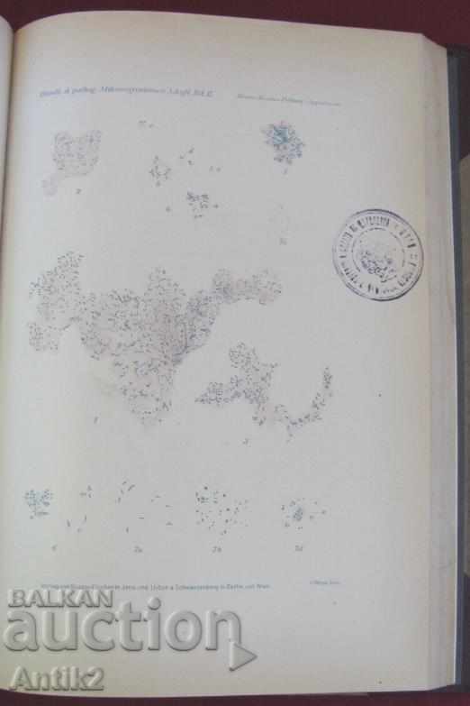 1929 Medical Book Volume 2 Berlin - 7 1929 Medical Book Volume 2 Berlin - 7