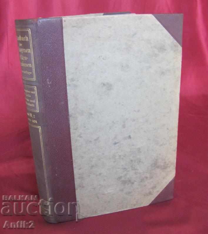 1929 Medical Book Volume 2 Berlin