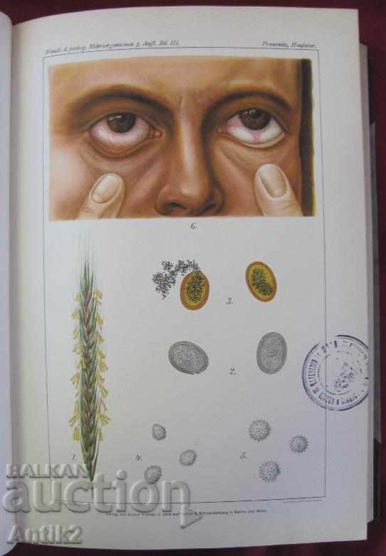 Delivery of 1929 Medical Book Volume 3 Berlin Delivery of 1929 Medical Book Volume 3 Berlin