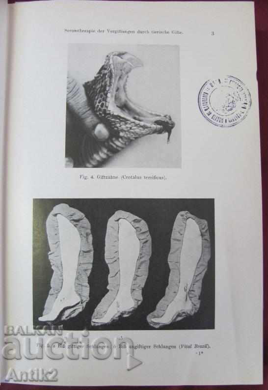 1929 Medical Book Volume 3 Berlin - 5 1929 Medical Book Volume 3 Berlin - 5