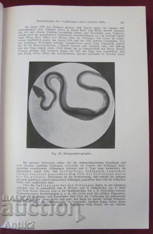 1929 Medical Book Volume 3 Berlin - 7 1929 Medical Book Volume 3 Berlin - 7