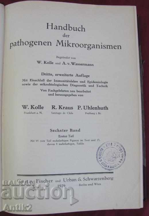 1929 Medical Book Volume 6-1 Berlin with price 230.00 BGN | € 117.60 1929 Medical Book Volume 6-1 Berlin with price 230.00 BGN | € 117.60