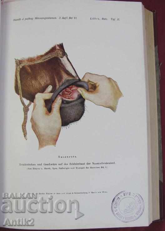 Auction 1929 Medical Book Volume 6-1 Berlin Auction 1929 Medical Book Volume 6-1 Berlin
