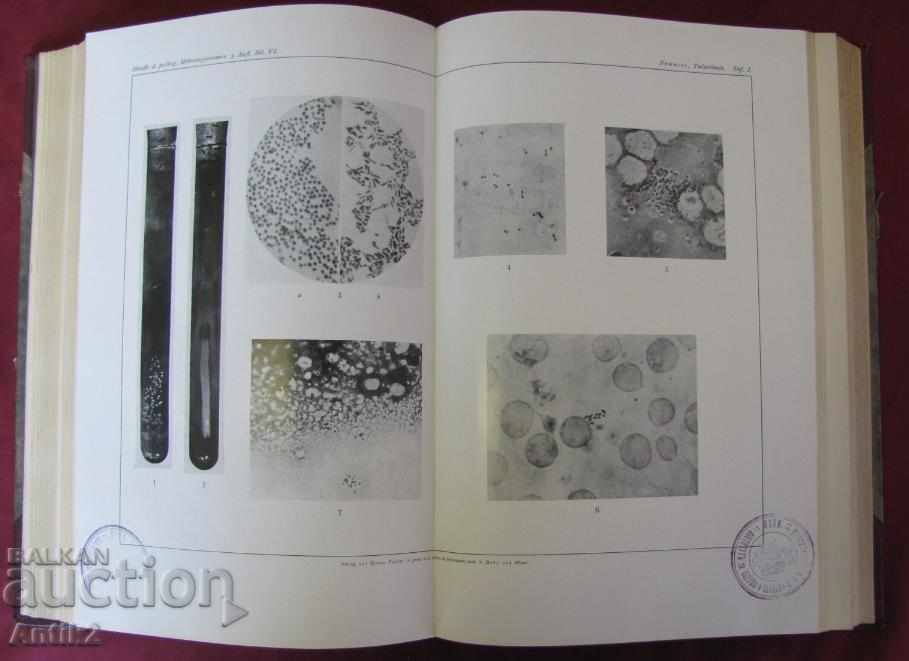 1929 Medical Book Volume 6-1 Berlin - 6 1929 Medical Book Volume 6-1 Berlin - 6