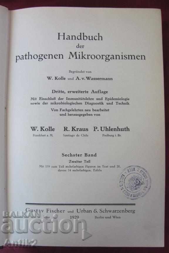 1929 Medical Book Volume 6-2 Berlin with price 115.00 BGN | € 58.80