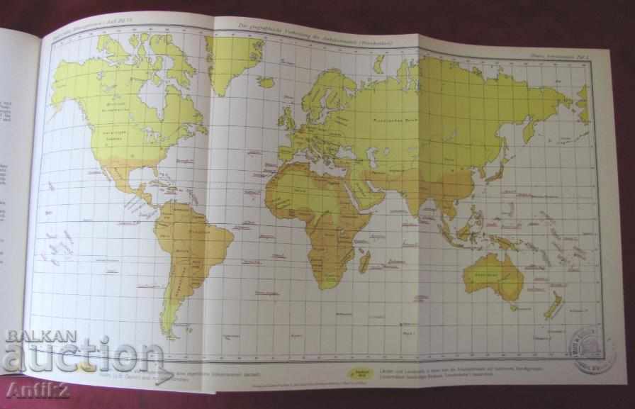 1929 Medical Book Volume 6-2 Berlin - 7