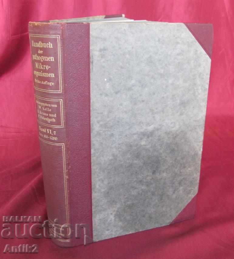 1929 Volumul cărții medicale 6-2 Berlin