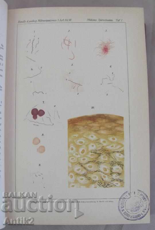 Παράδοση 1930 Ιατρικό βιβλίο τόμος 7-2 Βερολίνο Παράδοση 1930 Ιατρικό βιβλίο τόμος 7-2 Βερολίνο