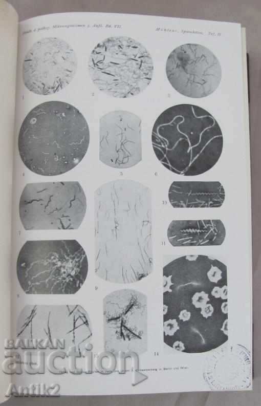 1930 Ιατρικό βιβλίο τόμος 7-2 Βερολίνο - 5 1930 Ιατρικό βιβλίο τόμος 7-2 Βερολίνο - 5