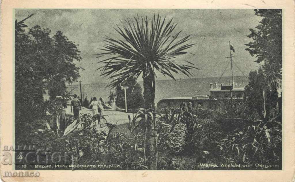 Old card - Varna, Sea Garden