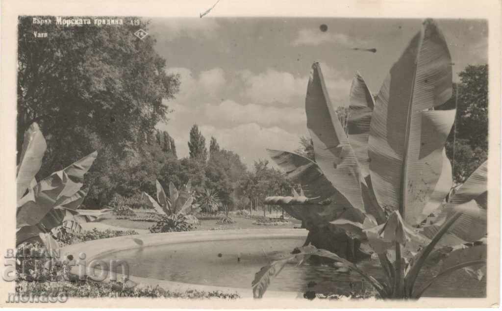 Old postcard - Varna, Sea Garden Old postcard - Varna, Sea Garden
