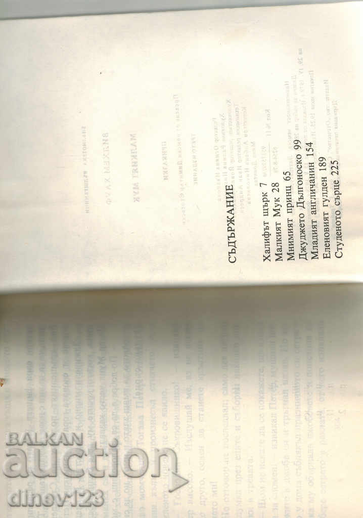 THE SMALL MUCH - VILHELM HAUF - 5 THE SMALL MUCH - VILHELM HAUF - 5