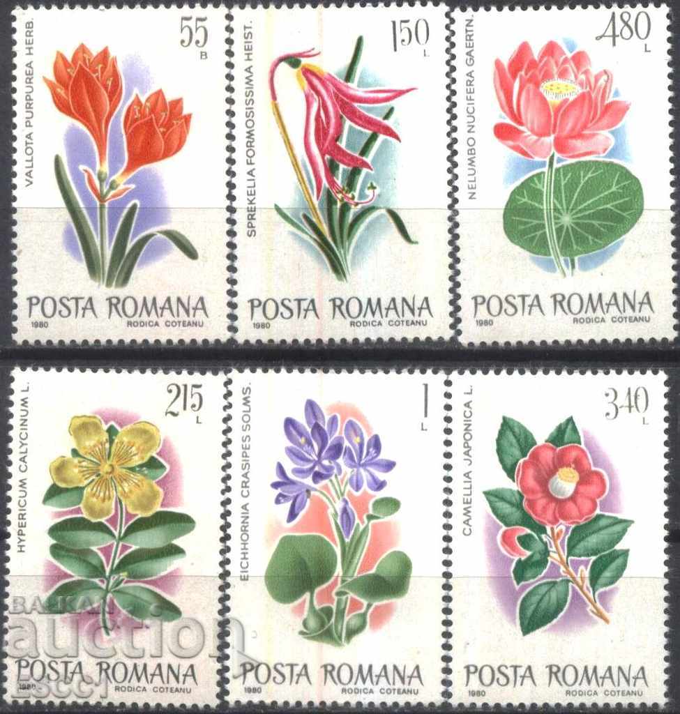 Pure Flowers Flora Flowers 1980 από τη Ρουμανία