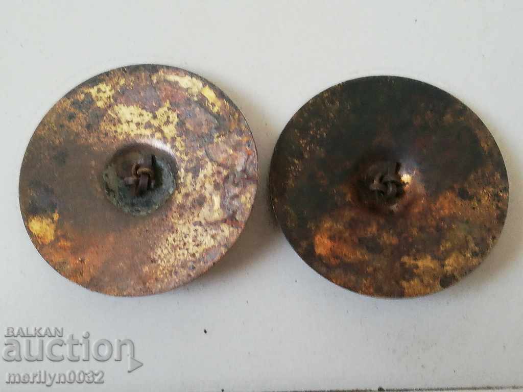 Kids chinchillas instrument, drum - 7 Kids chinchillas instrument, drum - 7