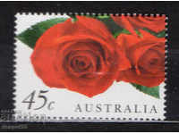 1999. Австралия. Св. Валентин.