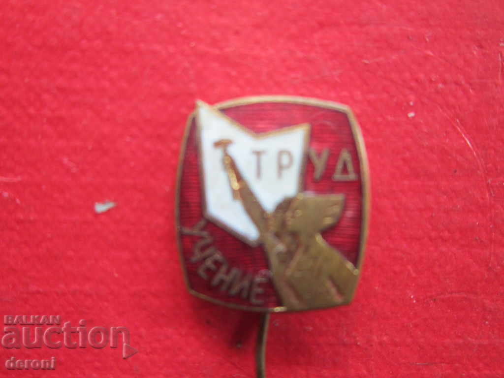 Auction Russian badge Labor Teaching bronze enamel Auction Russian badge Labor Teaching bronze enamel