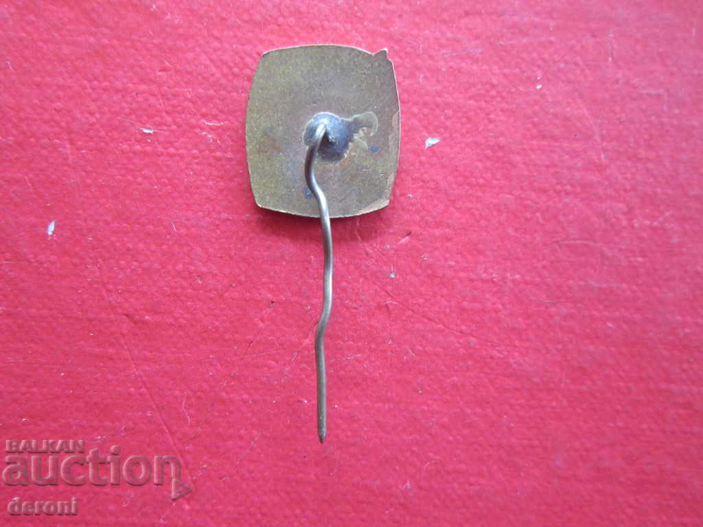 Delivery of Russian badge Labor Teaching bronze enamel Delivery of Russian badge Labor Teaching bronze enamel