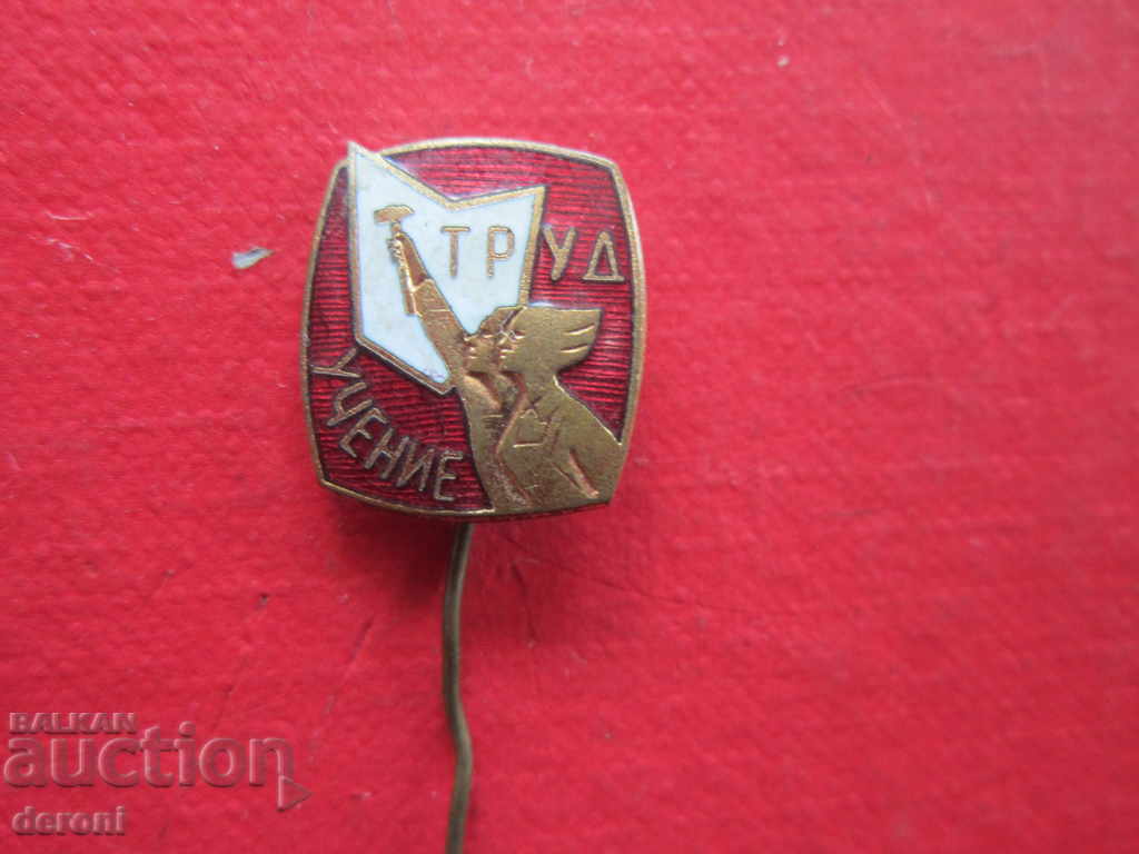 Russian badge Labor Teaching bronze enamel - 5 Russian badge Labor Teaching bronze enamel - 5