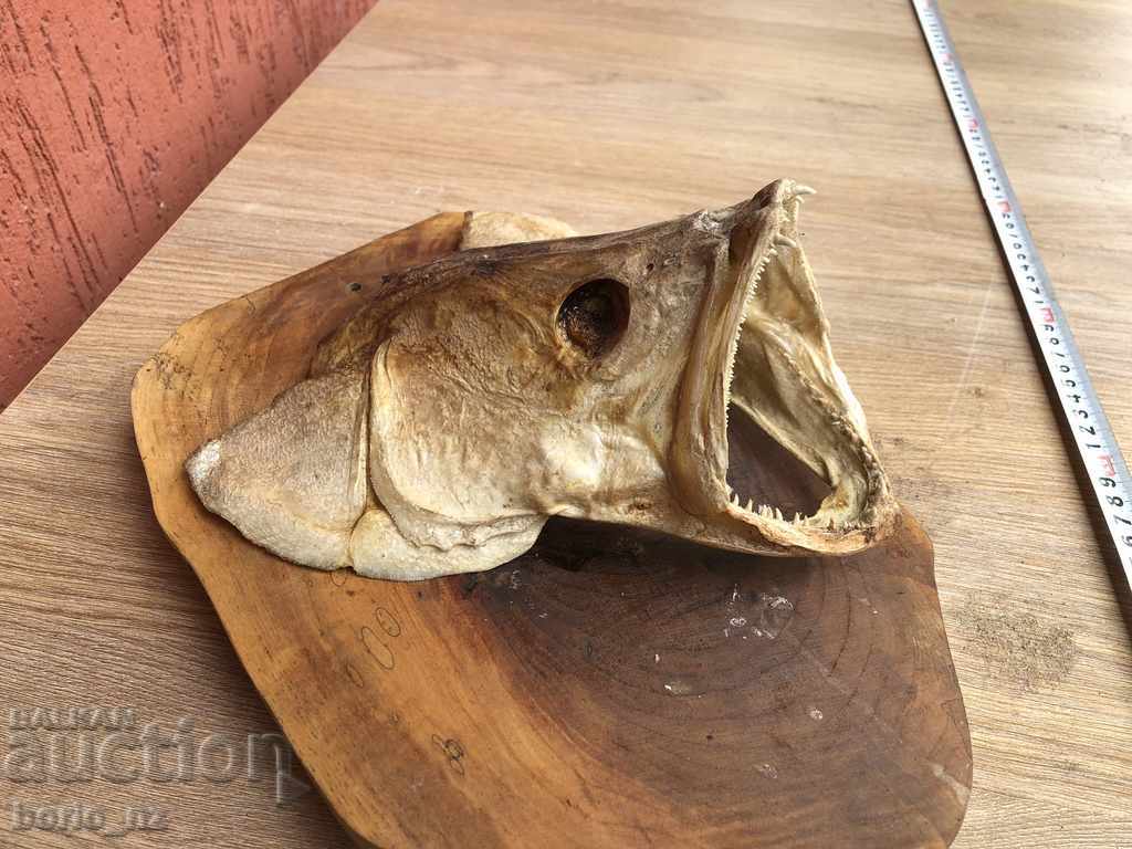 Auction 9916. REPLACED HEAD OF HEAD Auction 9916. REPLACED HEAD OF HEAD