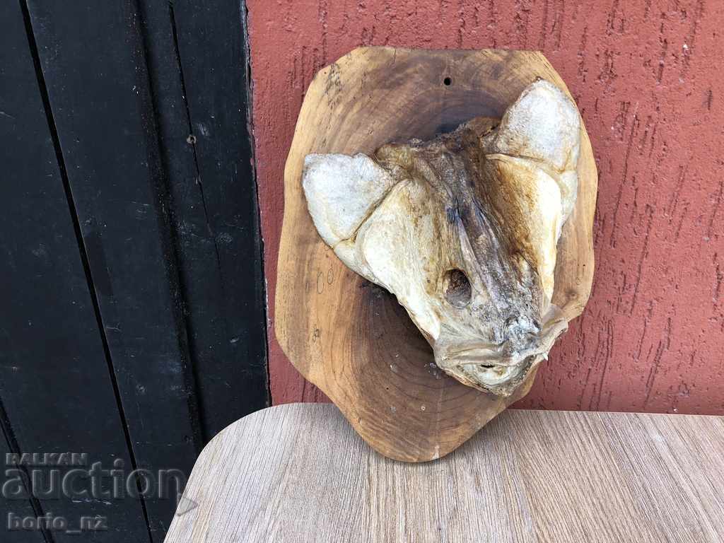 Delivery of 9916. REPLACED HEAD OF HEAD Delivery of 9916. REPLACED HEAD OF HEAD