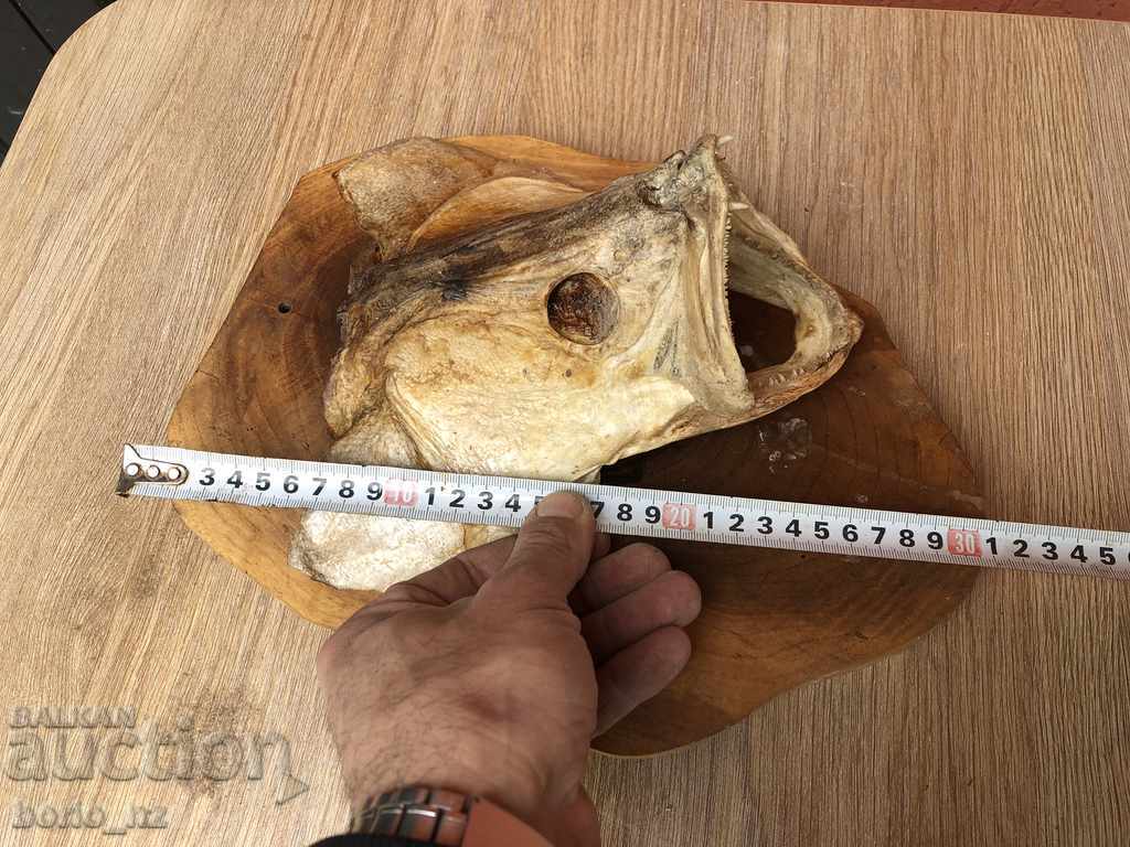 9916. REPLACED HEAD OF HEAD - 6 9916. REPLACED HEAD OF HEAD - 6