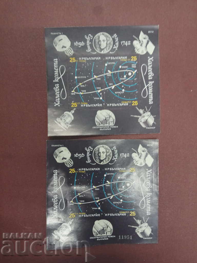 Halley's Comet: 2 blocks Halley's Comet: 2 blocks