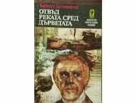 Beyond the river, among the trees