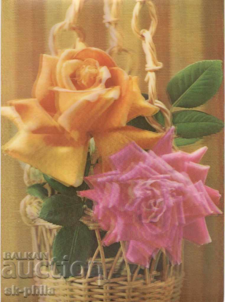 Old card - stereo - Beautiful roses