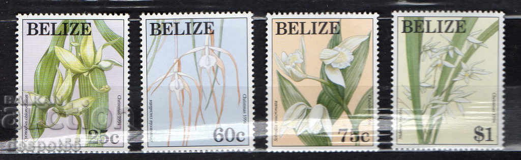 1994. Belize. Christmas - Orchids.