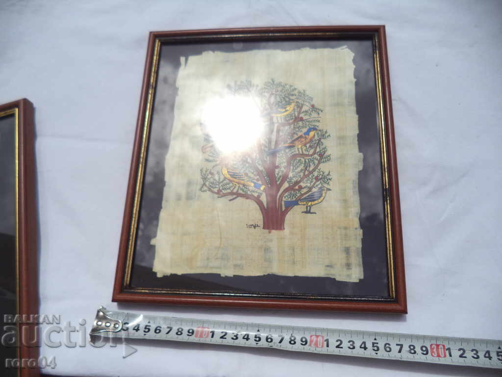 PAPIRUS - 5 PAPIRUS - 5