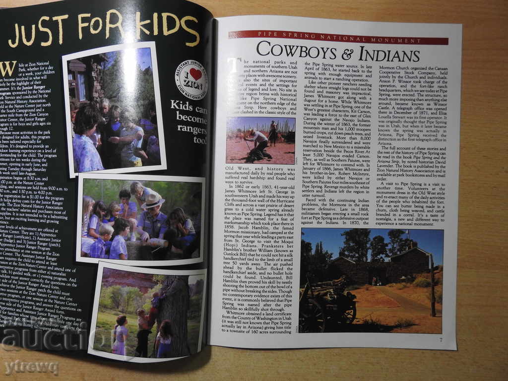 Auction  Footpaths in the parks