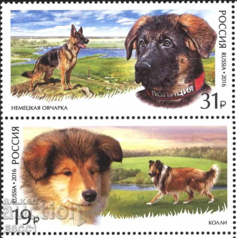 Чисти  марки  Фауна Кучета  2016   от Русия