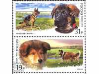 Чисти  марки  Фауна Кучета  2016   от Русия