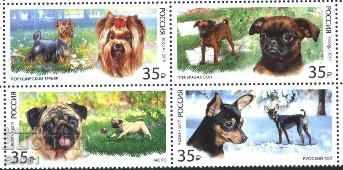 Pure brands Fauna Dogs 2019 from Russia with price 13.00 BGN | € 6.65 Pure brands Fauna Dogs 2019 from Russia with price 13.00 BGN | € 6.65