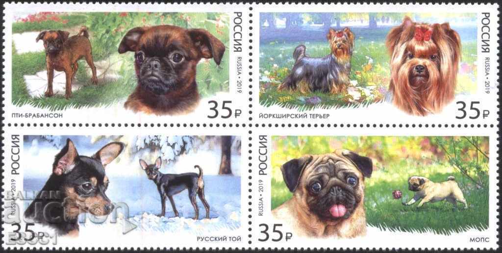 Чисти  марки Фауна Кучета  2019  от Русия